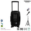 OEM 12 pouces en plastique Trolley PRO Audio avec batterie